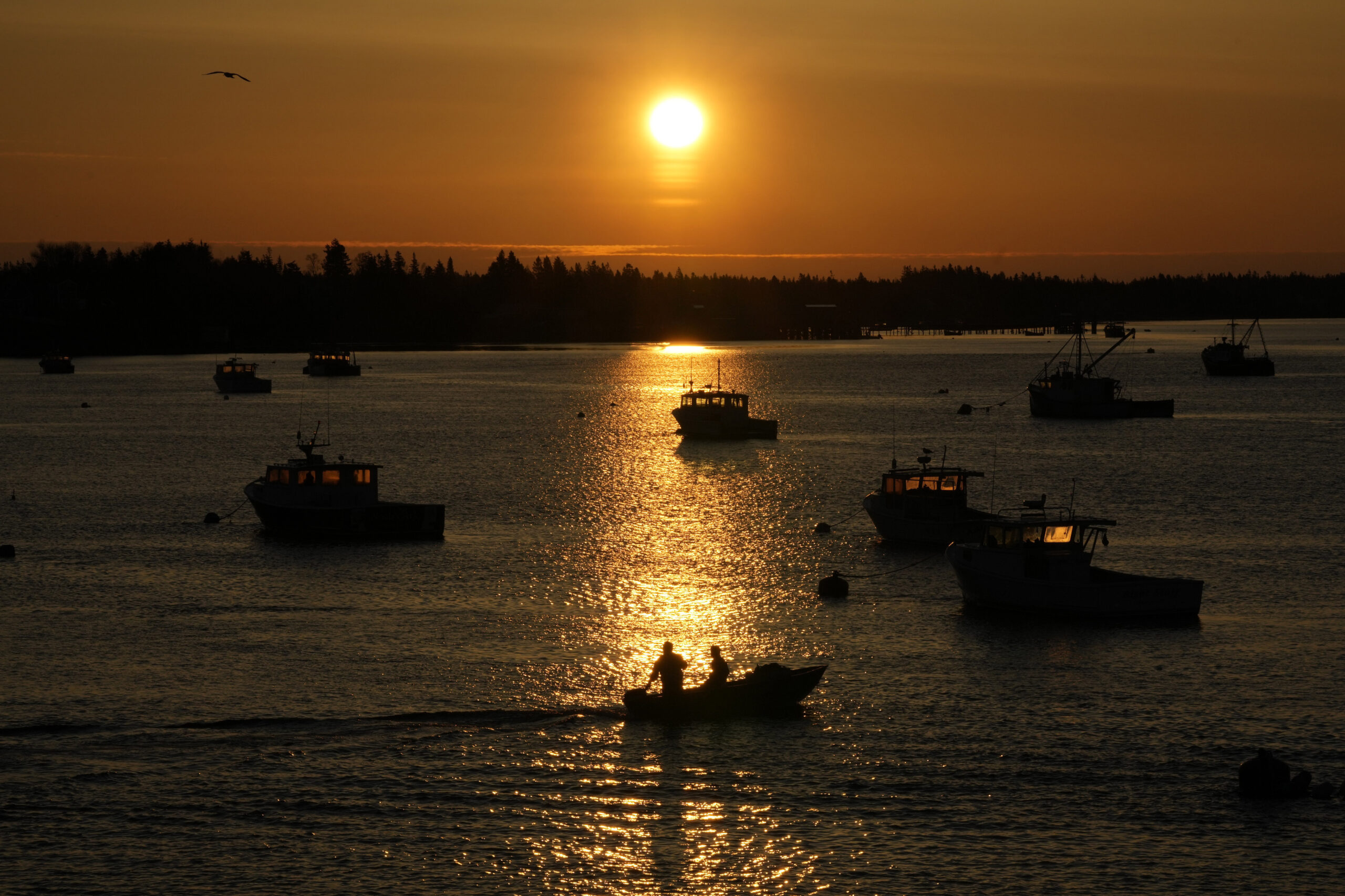 Lobstermen motor out to their moored fishing boat in Jonesport, Maine, Thursday, April 28, 2023. Th...