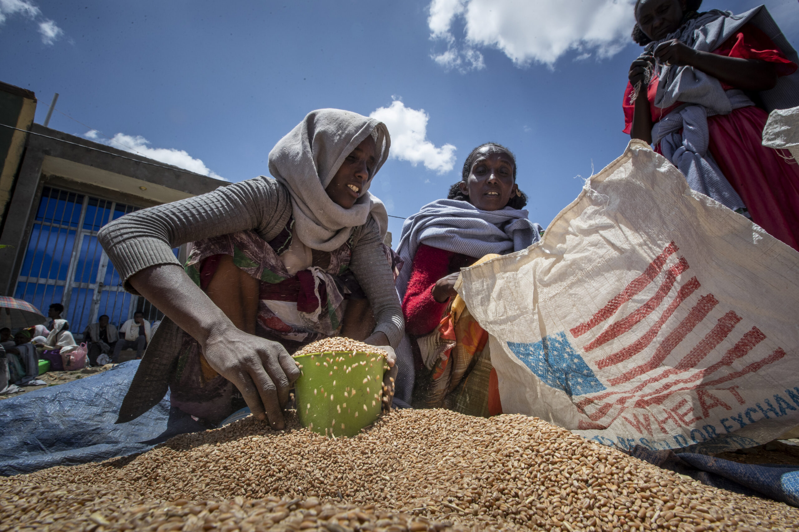 FILE - An Ethiopian woman scoops up portions of wheat to be allocated to each waiting family after ...