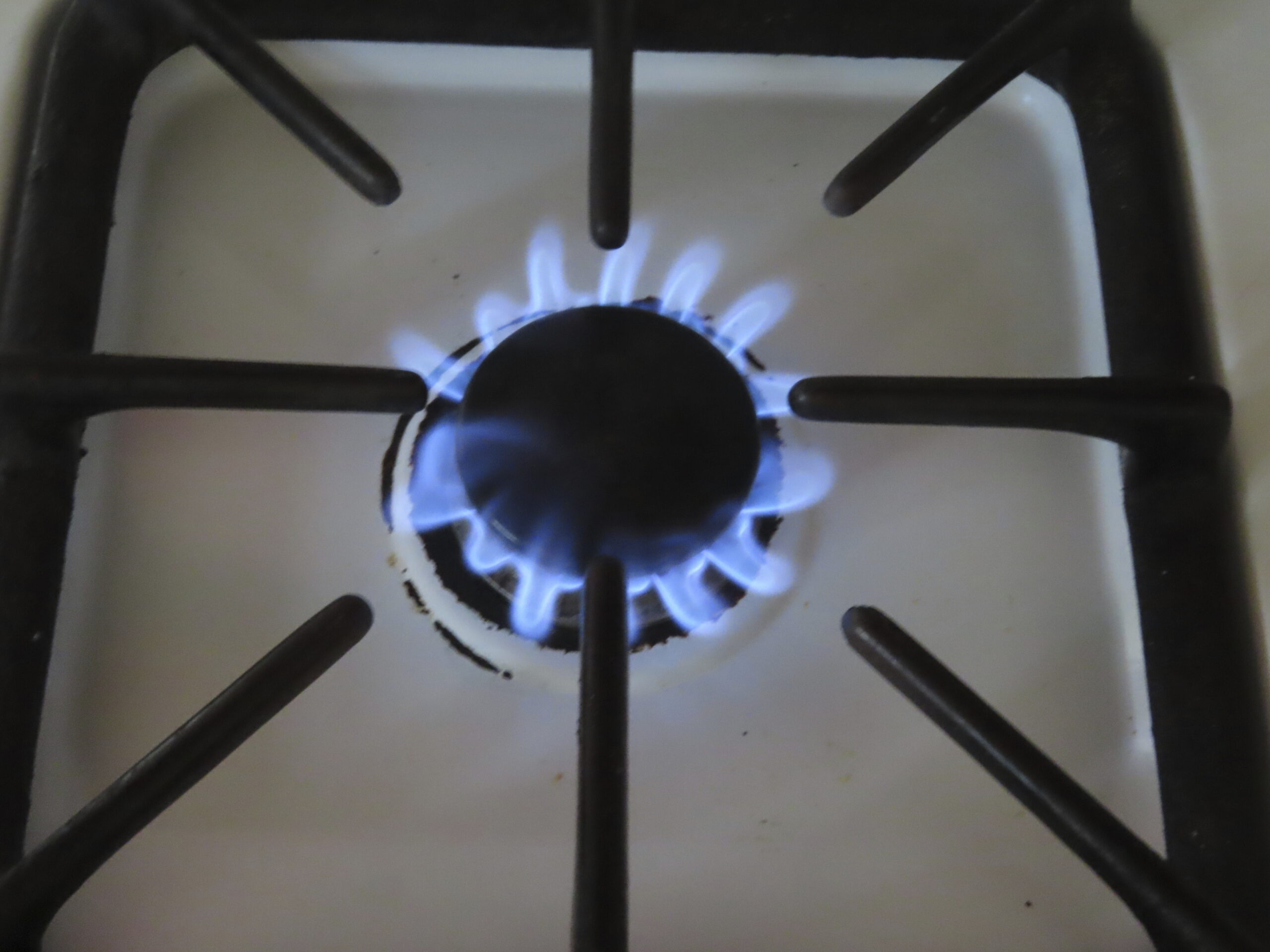Natural gas burns on a kitchen stove in Atlantic City N.J., Thursday, July 26, 2023. Government pus...