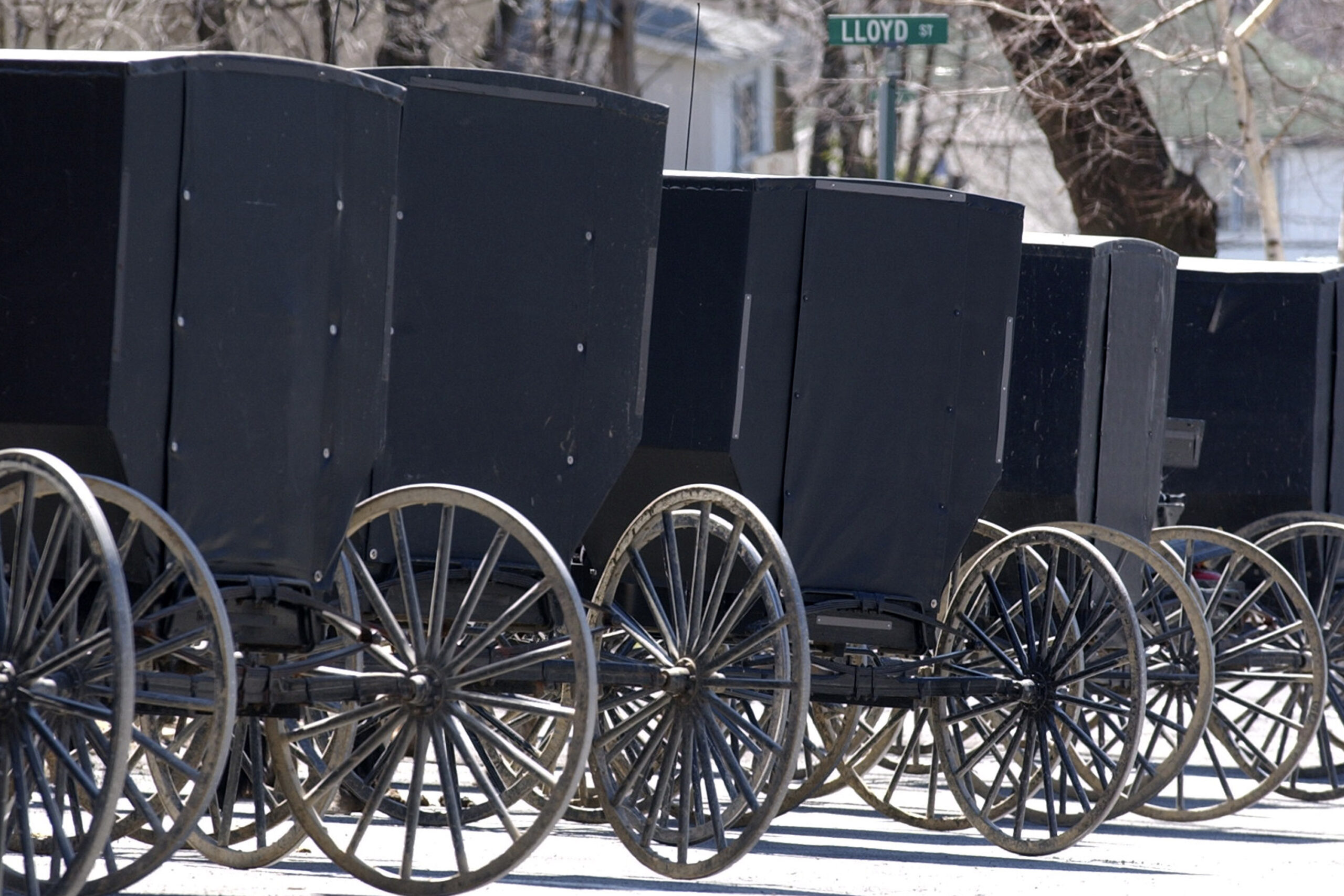 FILE - This April 10, 2002 photo shows Amish buggies of the Swartzentrubers Amish sect parked outsi...
