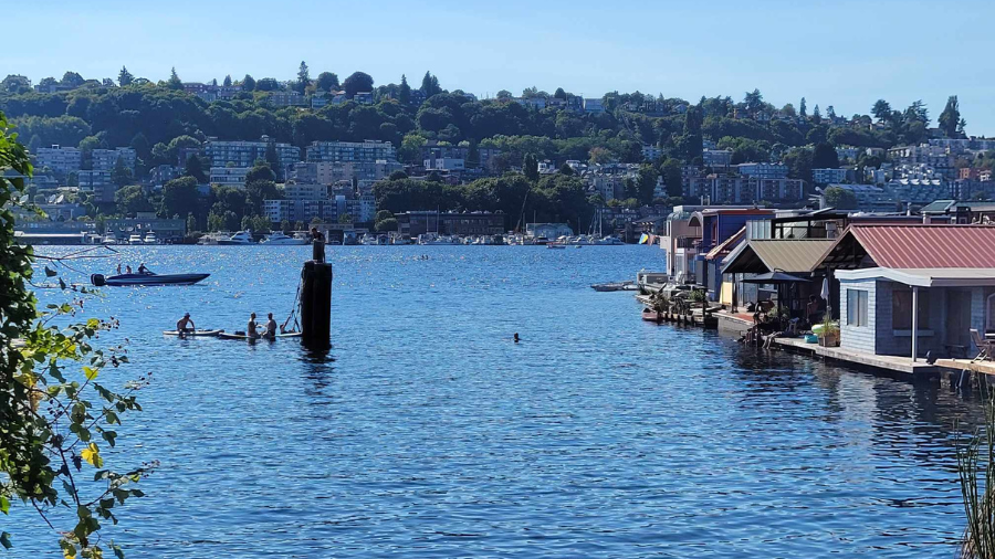 Image: People swim and boat on Seattle's Lake Union in August 2023....