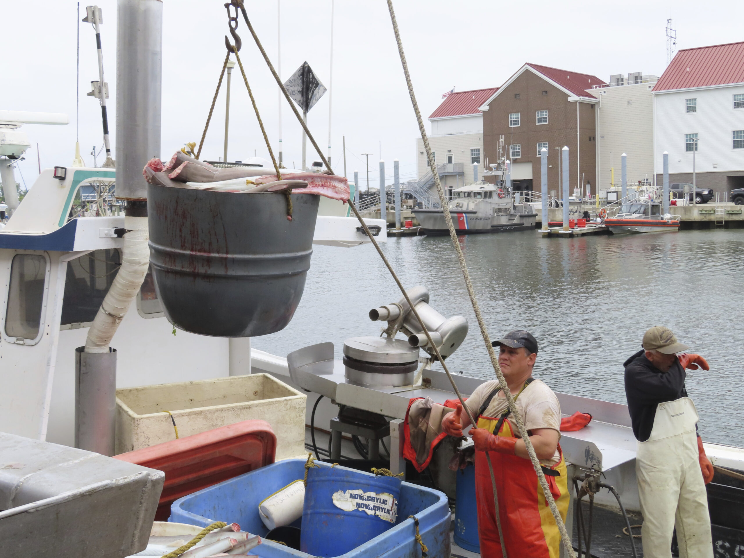 Crew members of a fishing boat unload their catch in Point Pleasant Beach, N.J., on June 20, 2023. ...