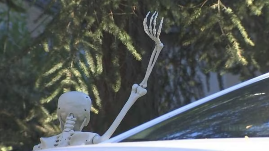 Gee And Ursula Lakewoods Lewd Halloween Skeleton Display Has Been Stolen 