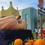 Image: The largest pumpkin ever recorded was in a parade and wore a crown.  The pumpkin weighed 2,749 pounds. 