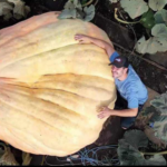 Image: Travis Gienger stands with the largest pumpkin ever recorded. The pumpkin weighed 2,749 pounds. 