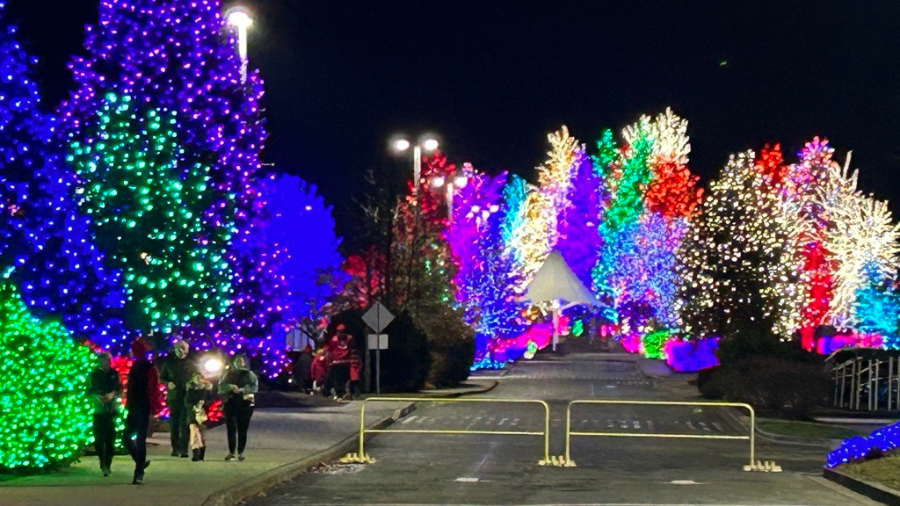 Where to see the biggest display of Christmas lights in Washington