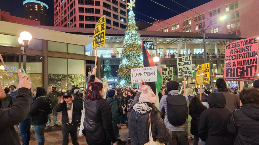 Dozens of demonstrators protested at the annual Tree Lighting Celebration at Seattle's Westlake Cen...