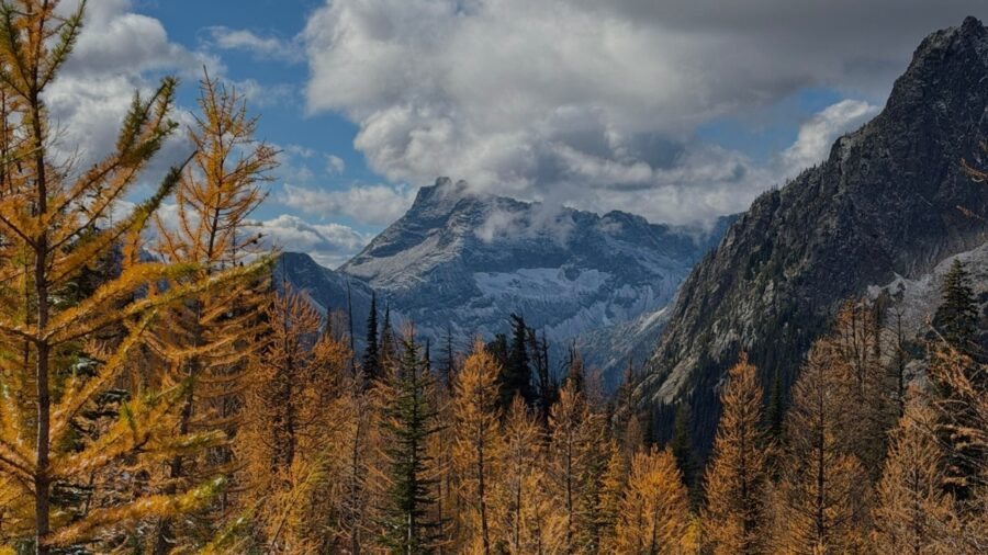 Rantz: The experts say fire keeps Washington’s larches alive, so why does the headline blame climate change?
