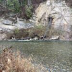 
A shear wall of sandstone is visible across the Cedar River from Belmondo Reach Natural Area. (Feliks Banel/KIRO Newsradio)