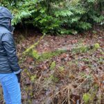 Robin Adams examines a concrete footing from infrastructure that once supported the Cedar Mountain Mine. (Feliks Banel/KIRO Newsradio)