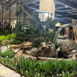 Flower and Garden Festival runs through Sunday at the Seattle Convention Center. (Photos: Paul Holder, KIRO Newsradio)