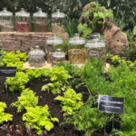 Flower and Garden Festival runs through Sunday at the Seattle Convention Center. (Photos: Paul Holder, KIRO Newsradio)