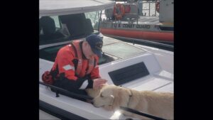 Photo: A USCG Station Bellingham Response Boat-Medium arrived at the scene and successfully rescued the two remaining passengers. Crews also picked up their two dogs Buster and Belle.