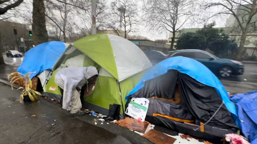 Image: Tents are seen at a Seattle homeless encampment....