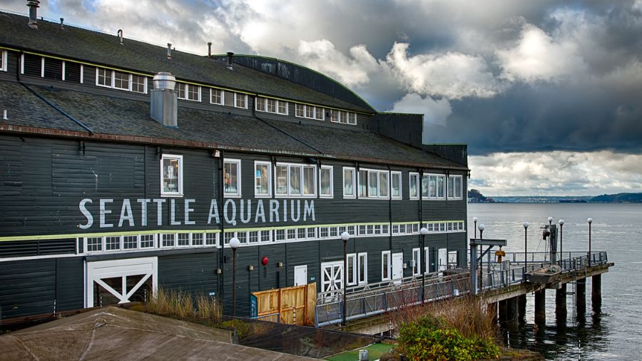 Alaska's Bering snow crab, king crab seasons canceled