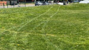 Photo: A driver tore through a park in Auburn.