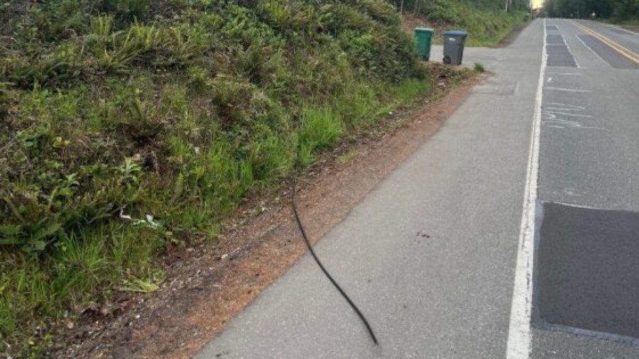 Image: Comcast reported cable lines being damaged due to vandalism on Friday, May 3, 2024....