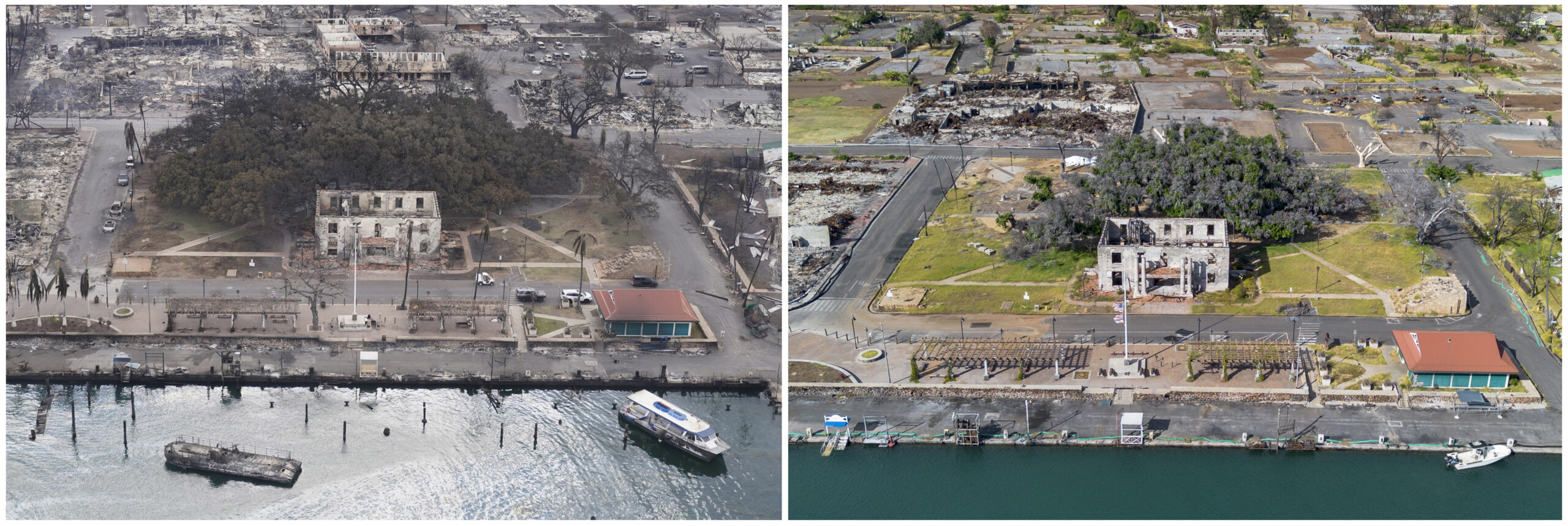 This combination of photos shows the historic Lahaina banyan tree in Lahaina, Hawaii, after the Lah...