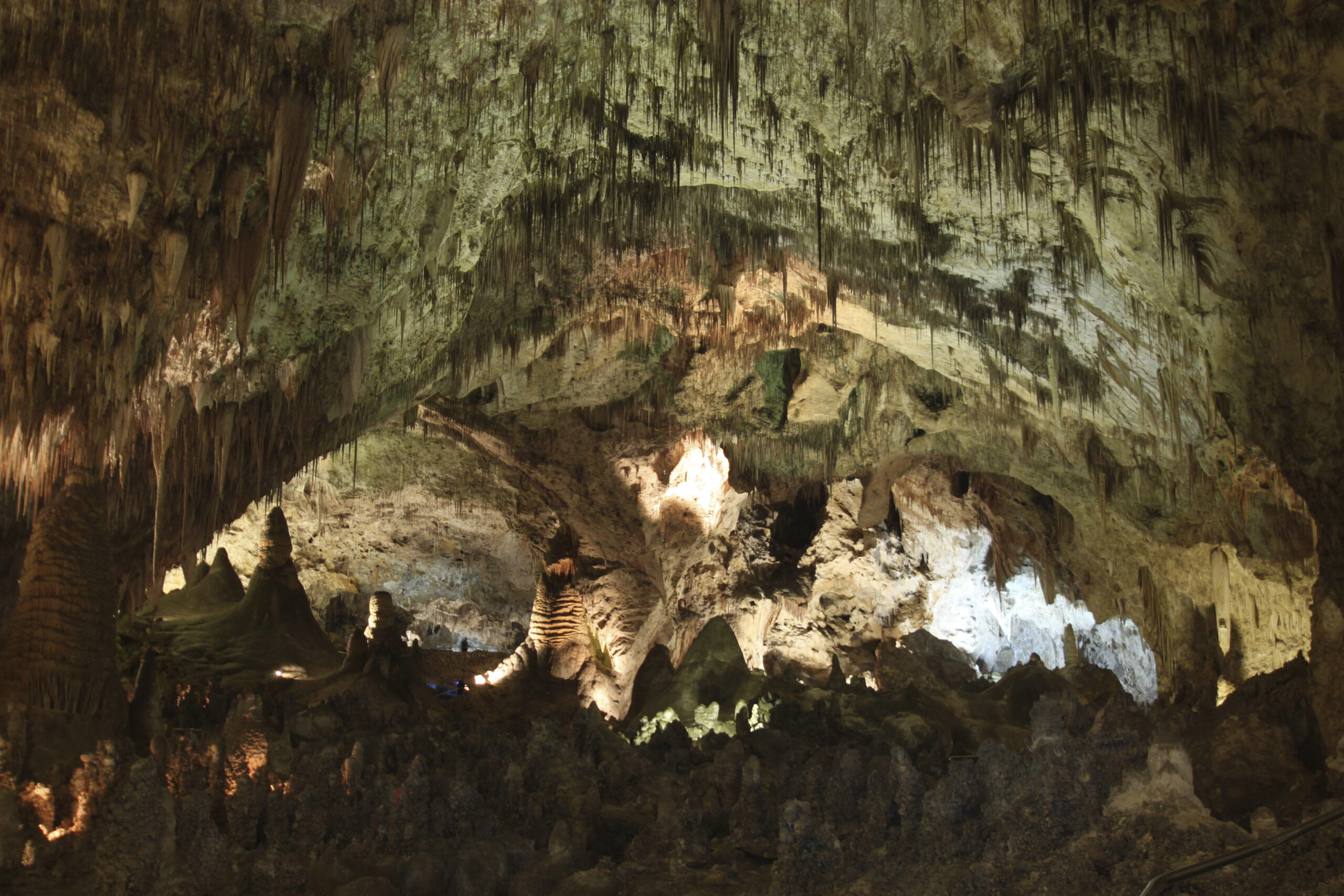 FILE - Hundreds of cave formations are shown decorating the Big Room at Carlsbad Caverns National P...