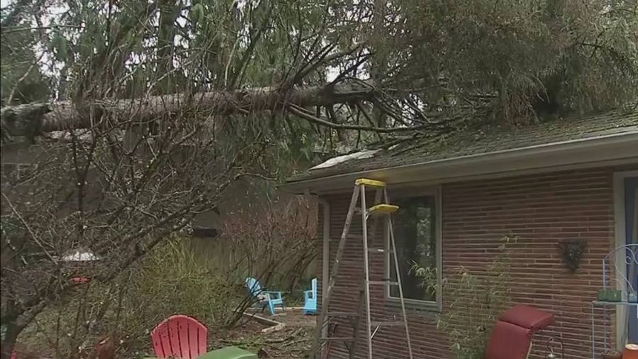 Rain and gale force winds will ease across western WA into the weekend