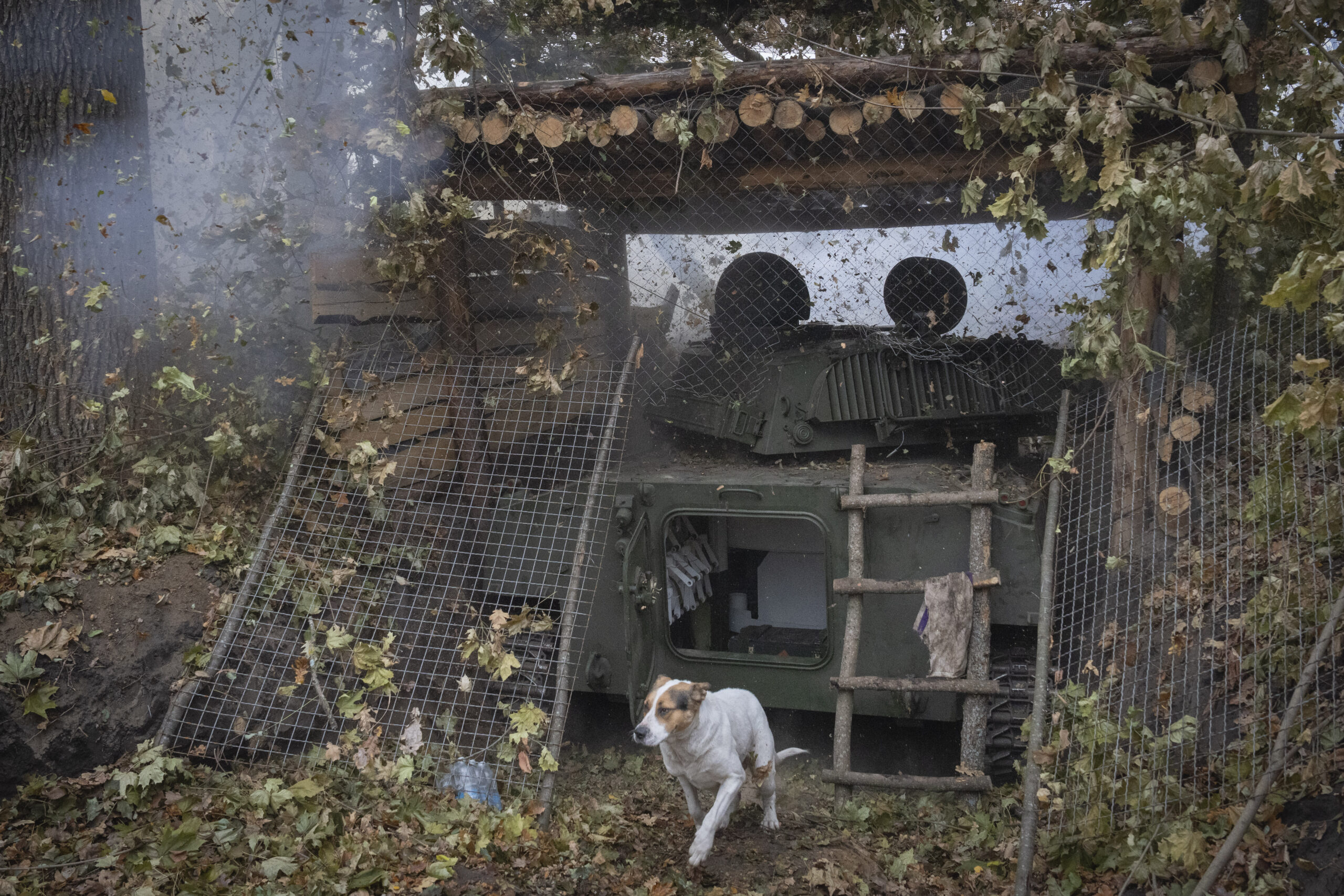 A dog reacts as self-propelled artillery howitzer "Gvozdika" fires towards Russian positions on the...