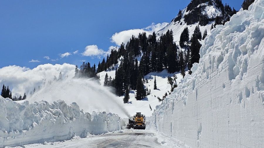 Photo: The 2024 spring clearing of Chinook Pass....