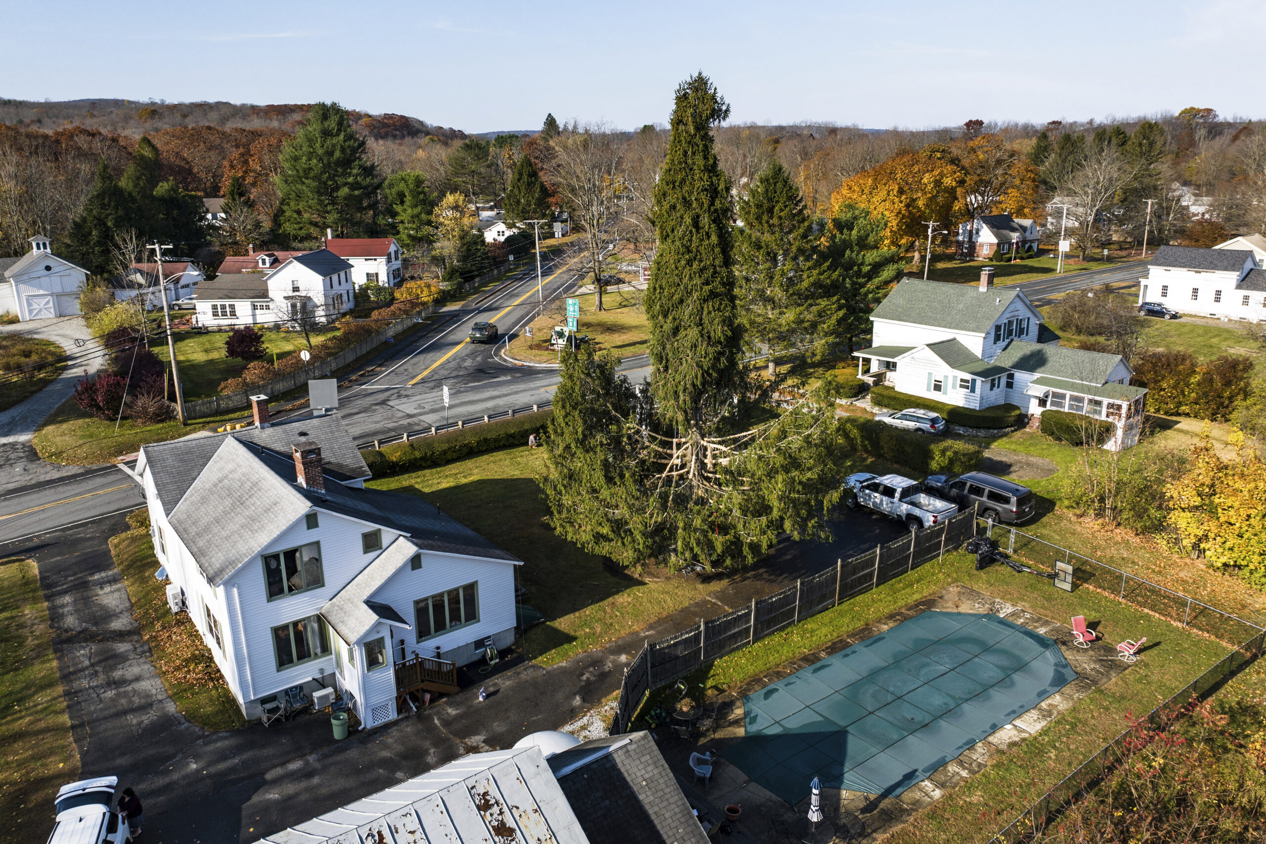 In this image take with a drone, a Norway spruce, this year’s Rockefeller Center Christmas tree, ...