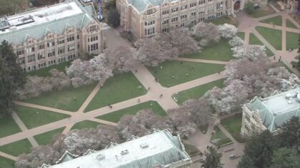 Teen with Google PhD-level job sues UW, other schools for alleged racial bias in admissions