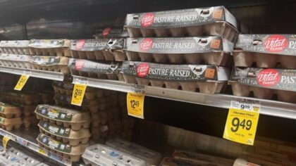 No yolk: Egg prices skyrocket amid bird flu, inflation