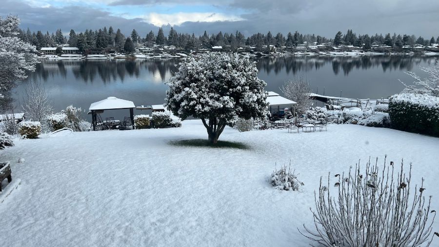 Snow in Seatac...