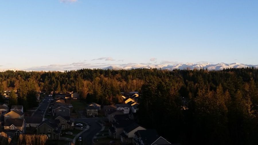 Bonney Lake...