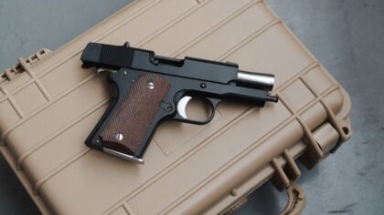 Guns could soon be banned from more public places in Washington