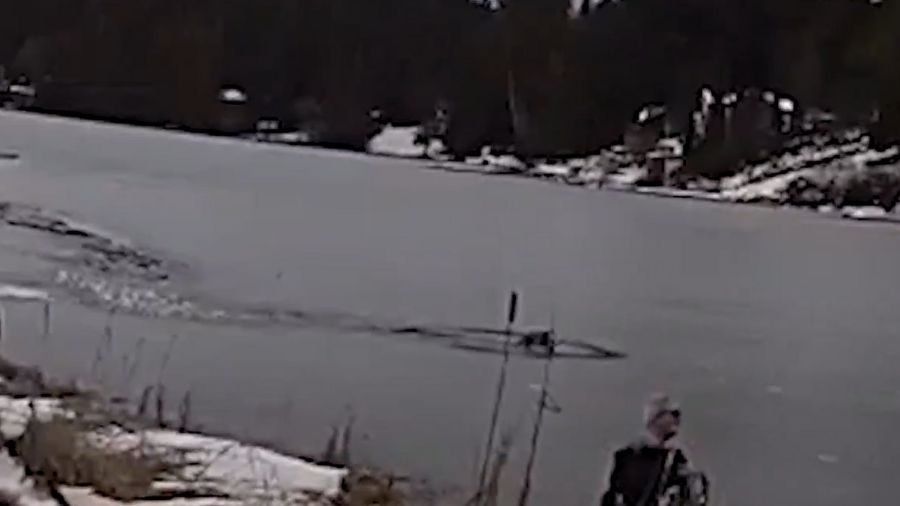 A Kitsap County sheriff's deputy and a private citizen used a rowboat to save a dog that fell throu...
