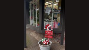 Photo: The owner of Sasquatch Bricks had an estimated $10,000 worth of LEGO sets stolen from his University Place store.
