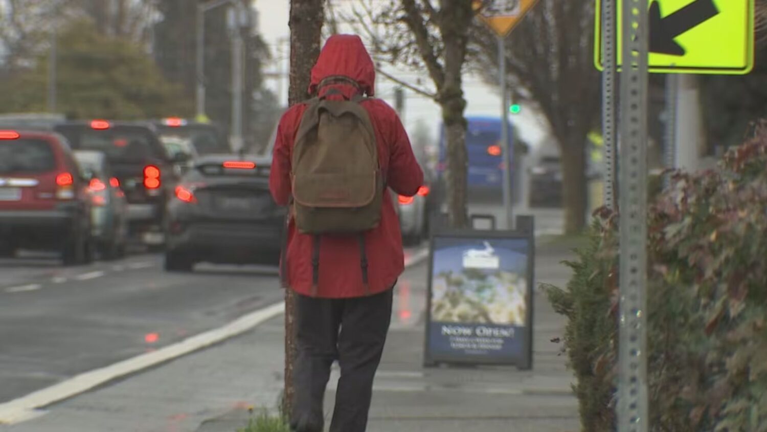 Thurston County declares loneliness crisis....