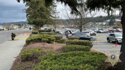 Deputies arrest two teens following shooting in parking lot of Kitsap Mall
