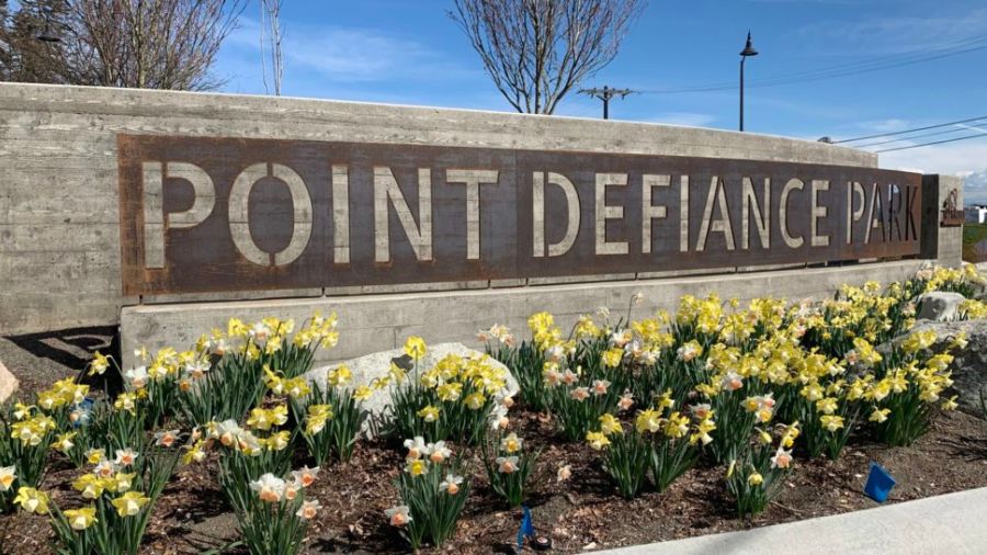 point defiance park stabbing...