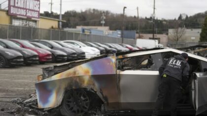 Violent attacks on Tesla dealerships spike as Musk takes prominent role in Trump White House