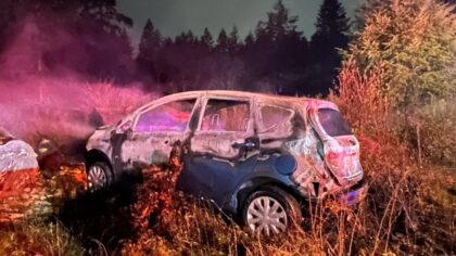 Car catches fire after crashing into barrier on SR 507, driver remains missing