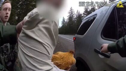 Video: Man flees from deputies with stolen chicken