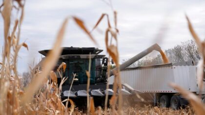 'What are we doing?' Congresswoman sounds alarm on southwest Washington farming crisis