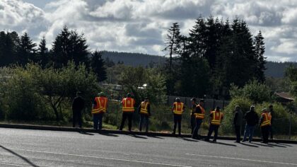Just what are these WSDOT workers doing?