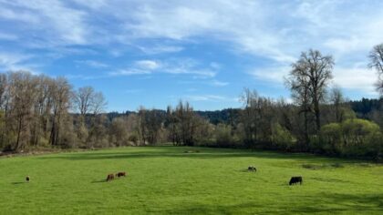 Gee and Ursula warn Trump's funding decisions carry 'very real impacts' for rural communities