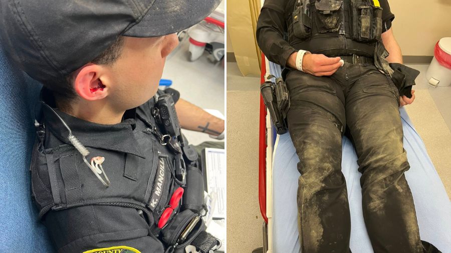 thurston deputies attacked...