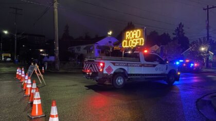 23-year-old driver hits, kills 60-year-old pedestrian in Seattle's South Park area