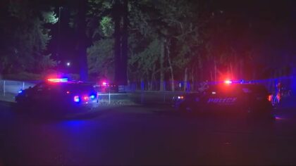 'No suspects in custody': Mass shooting at Lakewood’s Harry Todd Park leaves several injured