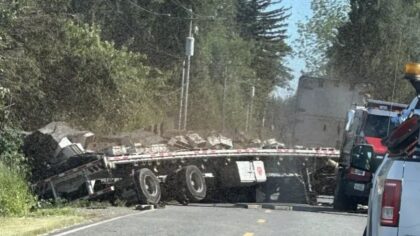 Weidkamp Road closed in Lynden after semi-truck crashes, unleashes millions of bees