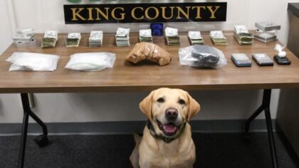 King County deputies dismantle $193,000 drug operation
