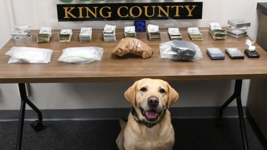 King County deputies seize over $193,000 in drugs (Photo Credit: King County Sheriffs Office)...