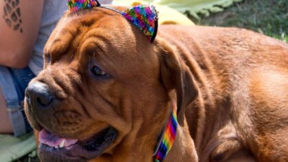 Seattle weekend guide: Music, sports, outdoor events, and more!